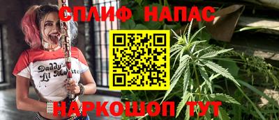 ALPHA PVP Краснознаменск