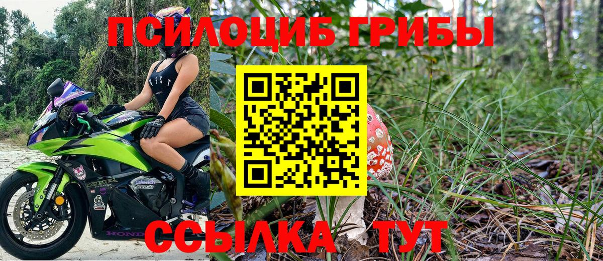 Псилоцибиновые грибы Cubensis  Вход с VPN  Карачаевск 