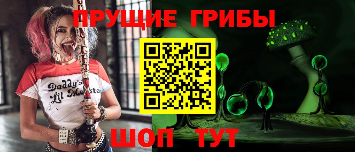 Псилоцибиновые грибы мухоморы Карачаевск