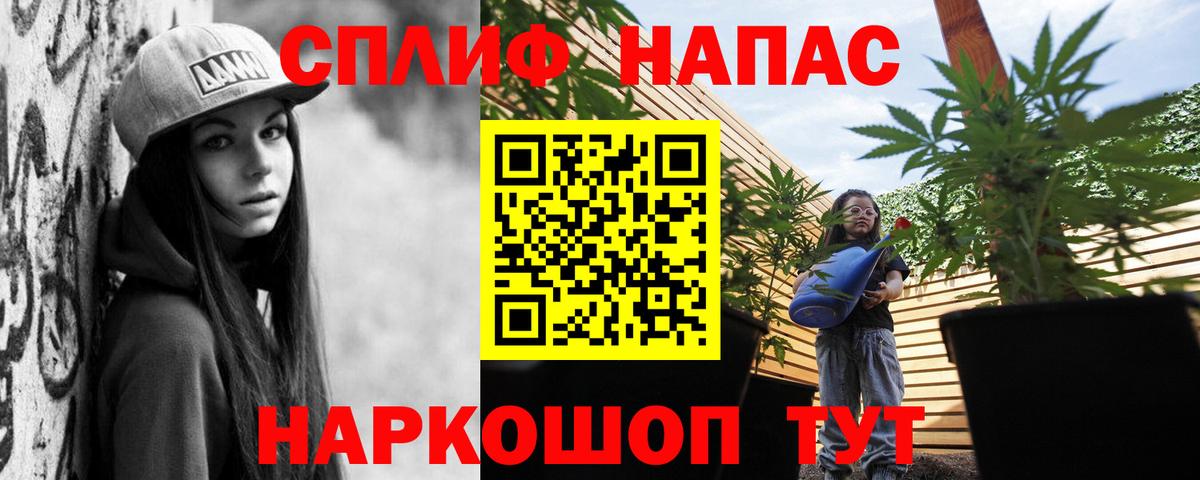 Каннабис MAZAR  Марихуана план  Вход с VPN  Каннабис сатива  Канабис марихуана  Карачаевск 