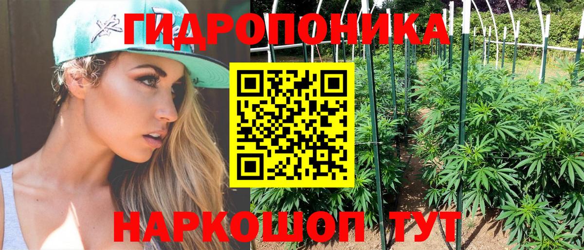 Бошки Шишки конопля Карачаевск